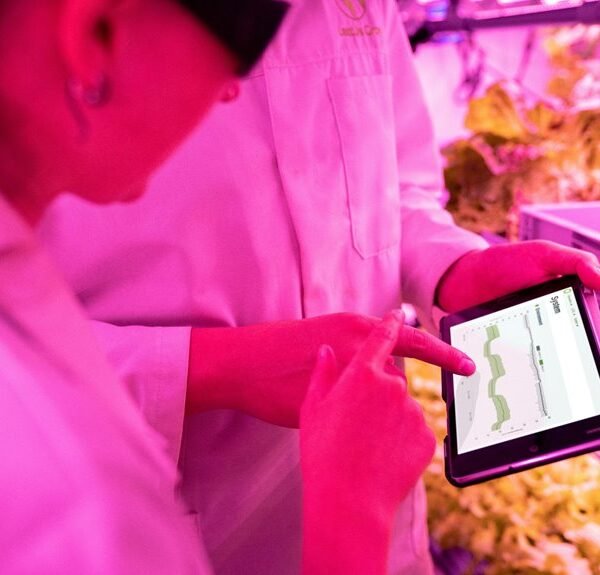 digital growth tools maximization