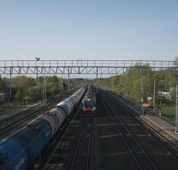 online growth platform development