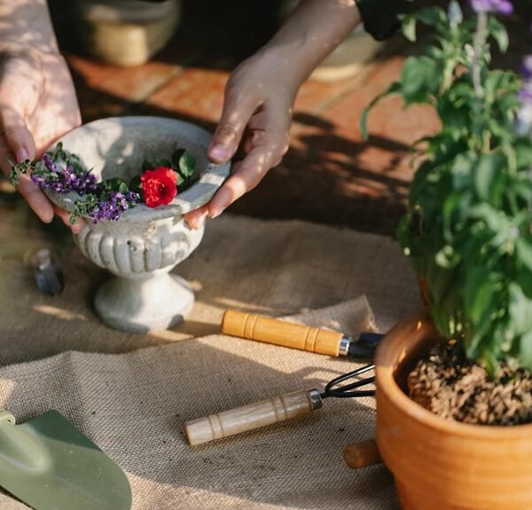 optimize digital growth tools